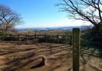 横浜自然観察の森　大丸山