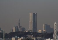 富岡総合公園 ケヤキ広場　高台からの眺め