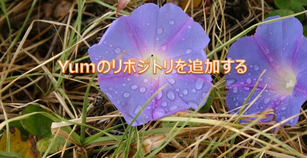 Yumのリポジトリを追加する Yumのリポジトリを追加する