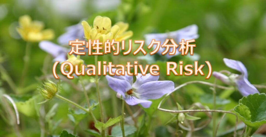 PMP 定性的リスク分析(Qualitative Risk)