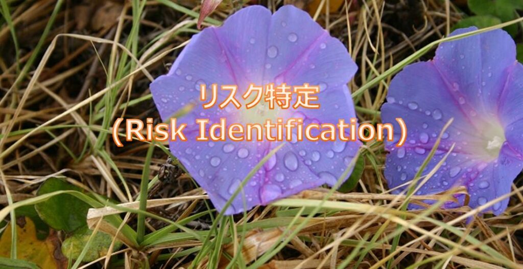 PMP リスク特定(Risk Identification)