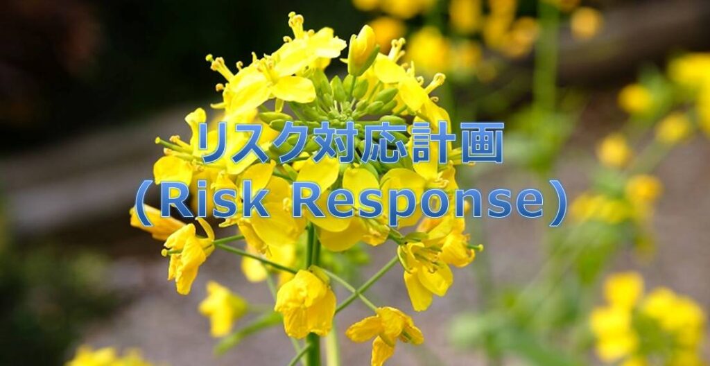PMP リスク対応計画(Risk Response)