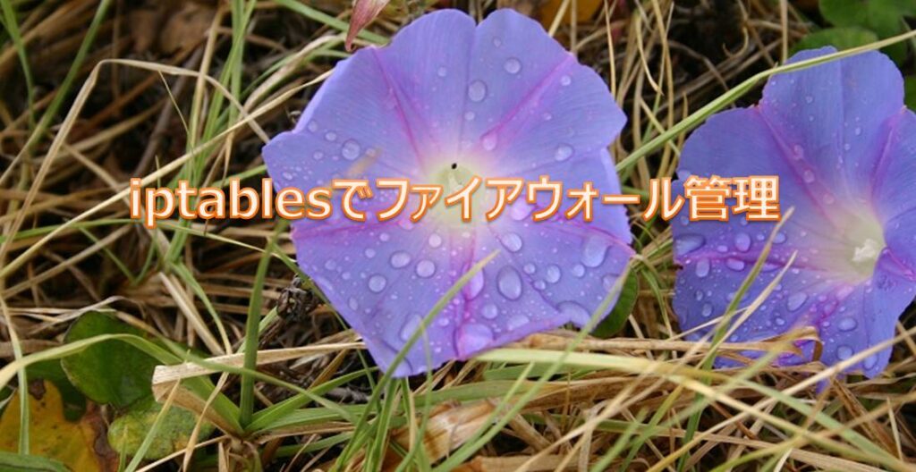 iptablesでファイアウォール管理 iptablesでファイアウォール管理