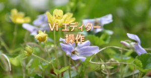 Vi エディター操作