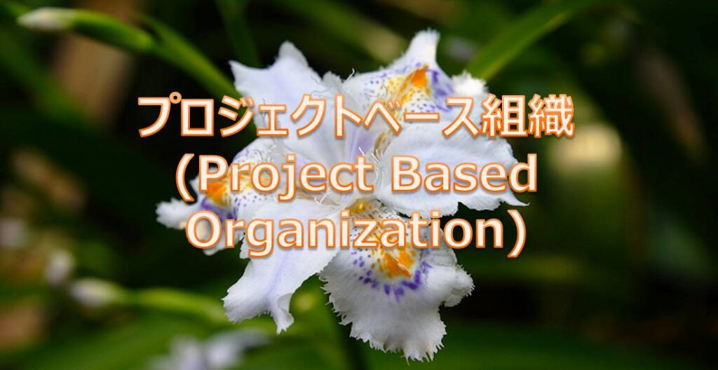 プロジェクトベース組織(Project Based Organization) プロジェクトベース組織(Project Based Organization)