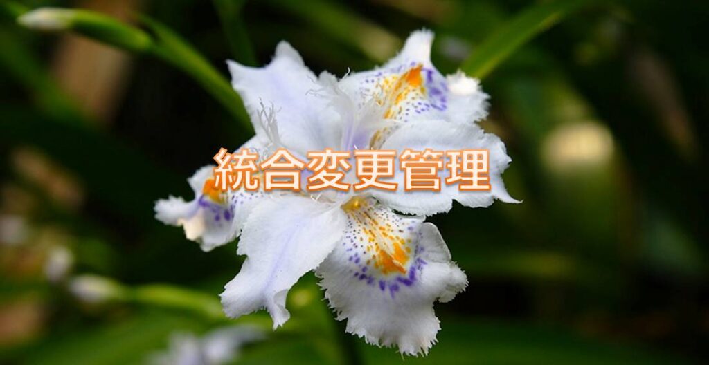 統合変更管理(Perform Integrated Change Control) 統合変更管理(Perform Integrated Change Control)