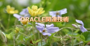 ORACLE関連技術