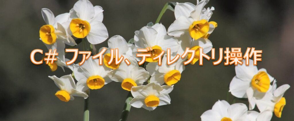 ファイル、ディレクトリ操作