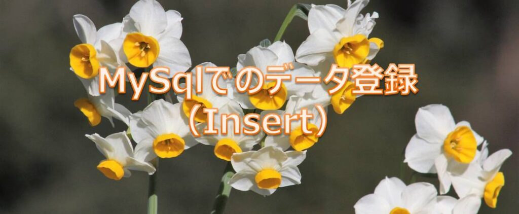 MySqlでのデータ登録（Insert）