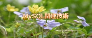 MySql関連技術