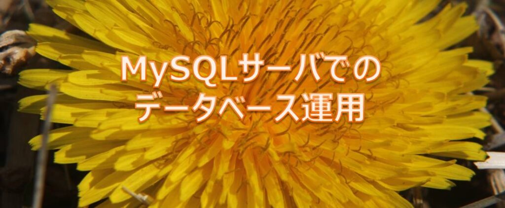 MySQLサーバでのデータベース運用