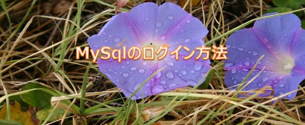 MySqlのログイン方法