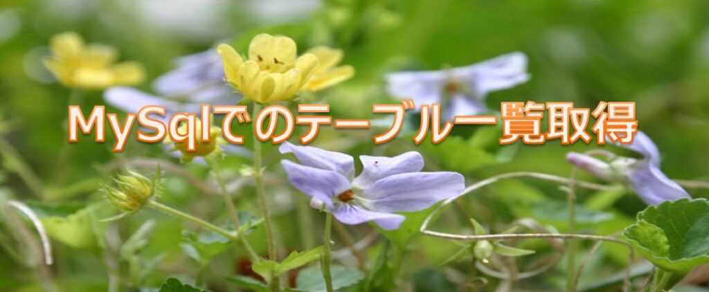 MySqlでのテーブル一覧取得