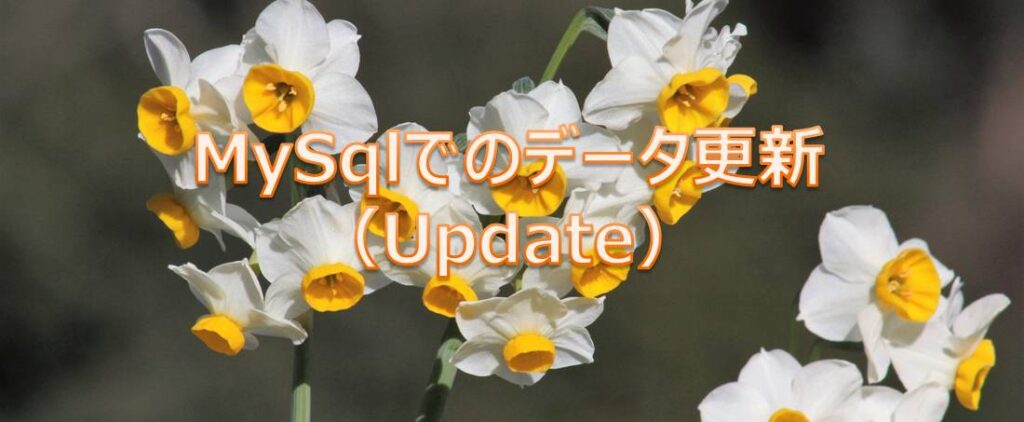 MySqlでのデータ更新（Update）
