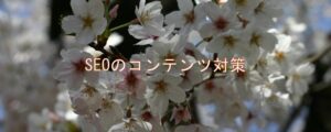 SEOのコンテンツ対策 SEOのコンテンツ対策