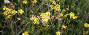 SEOの外部対策 SEOの外部対策