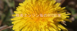 検索エンジン毎のSEO対策 検索エンジン毎のSEO対策