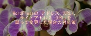 WordPressの アドレス (URL)、サイトアドレス (URL)を誤って変更した場合の対応策 WordPressの アドレス (URL)、サイトアドレス (URL)を誤って変更した場合の対応策